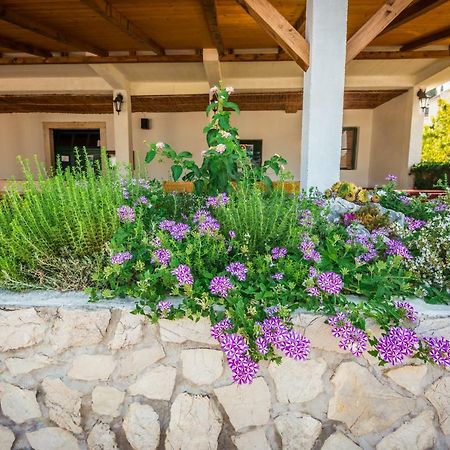 Apartments Galeb Блаце Экстерьер фото
